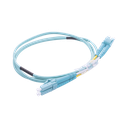 LP-FOM3-LCLC-R01 - 3