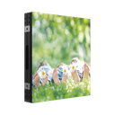 Modulo LED Full Color para Videowall / Pixel 4 mm / Resolución 240 X 240 / Gabinete de Metal / Uso en Exterior (IP65) / Publicidad en Exterior | DS-D4440FO-BKI