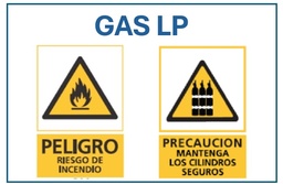 SSMART CARTEL PERSONALIZ GAS LP MEDIANO
